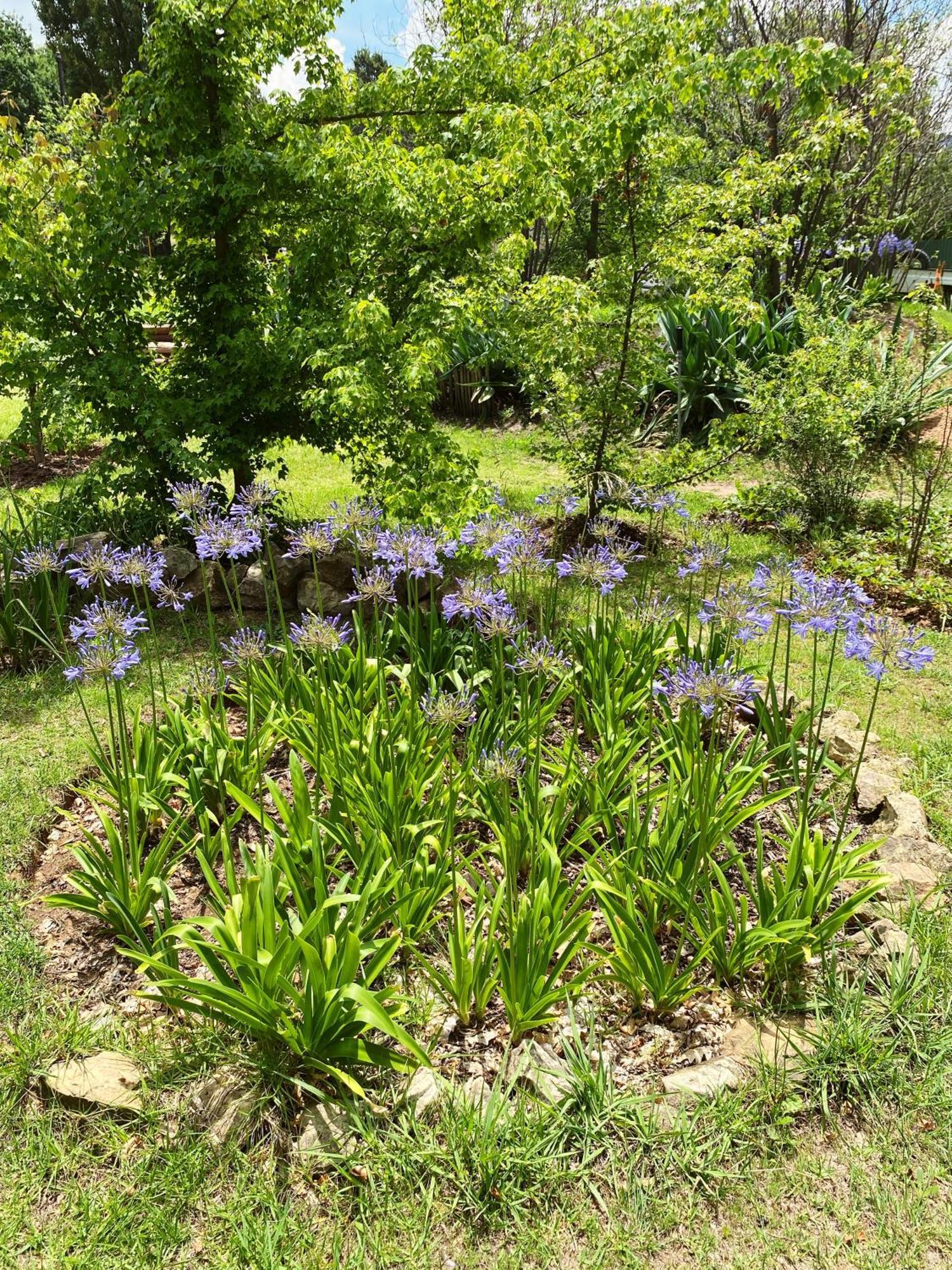 Collett House And Lavender Cottage Clarens Extérieur photo