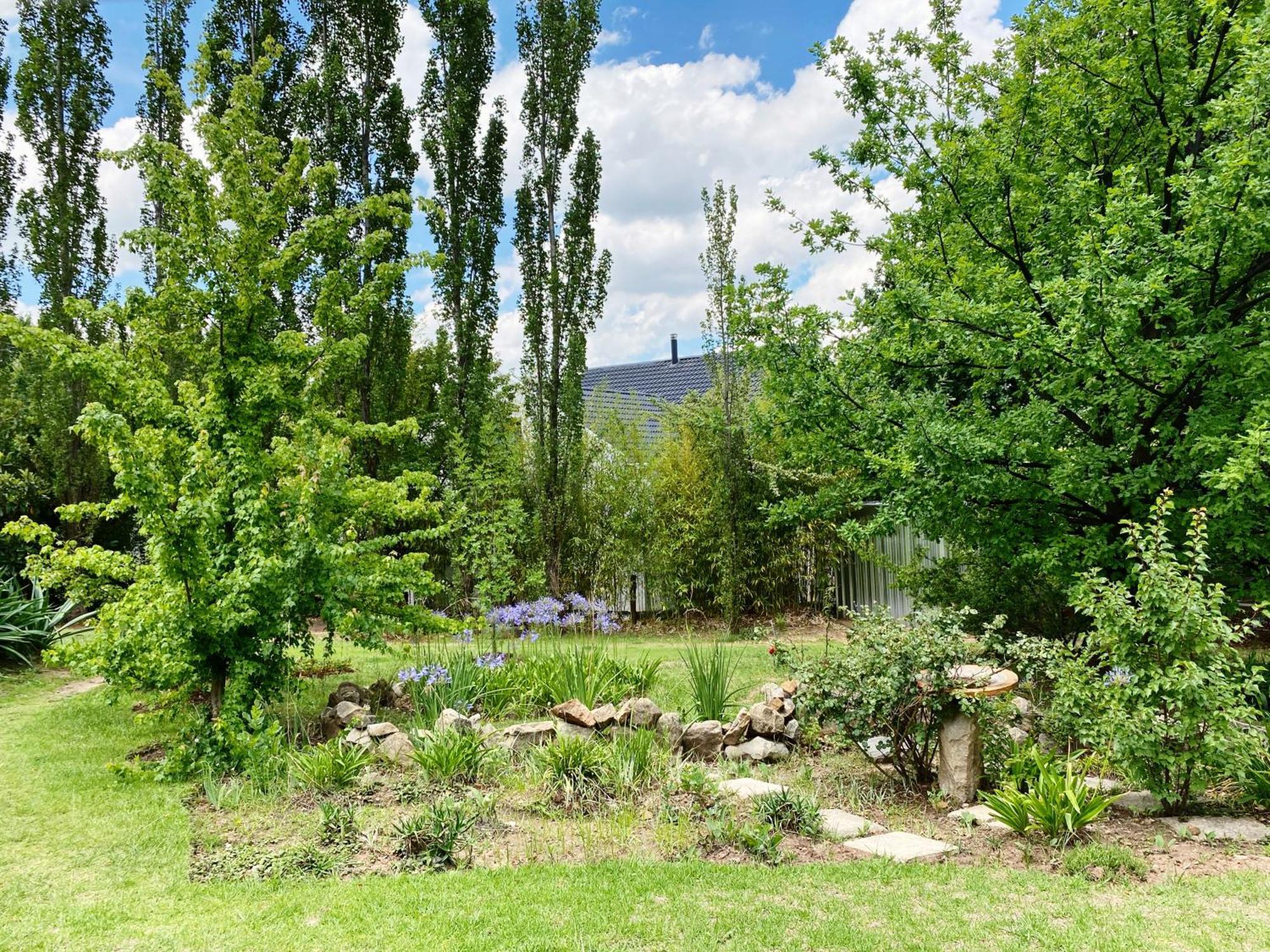 Collett House And Lavender Cottage Clarens Extérieur photo