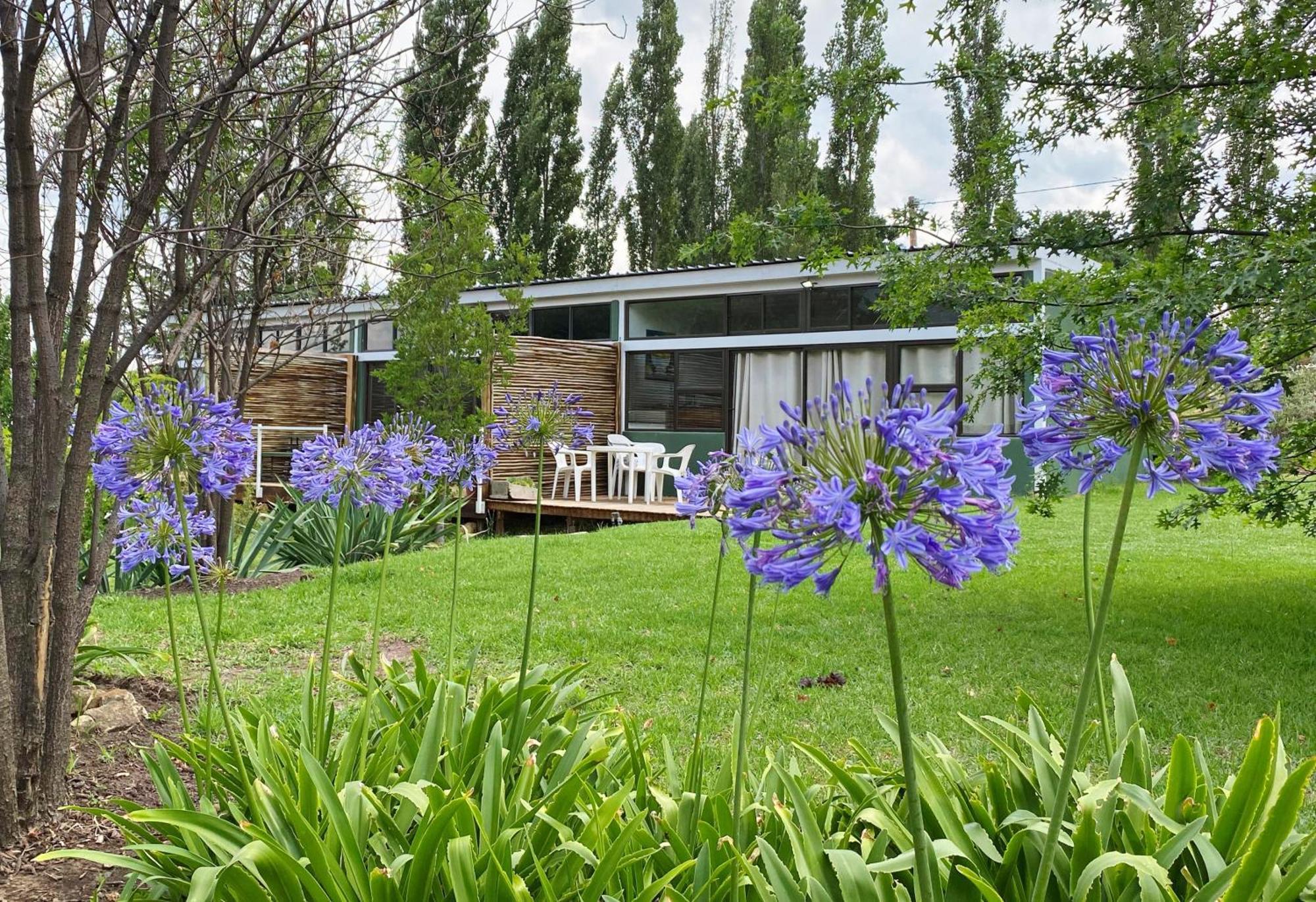 Collett House And Lavender Cottage Clarens Extérieur photo